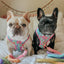 Dog Adjustable Harness - Polly Pocket™