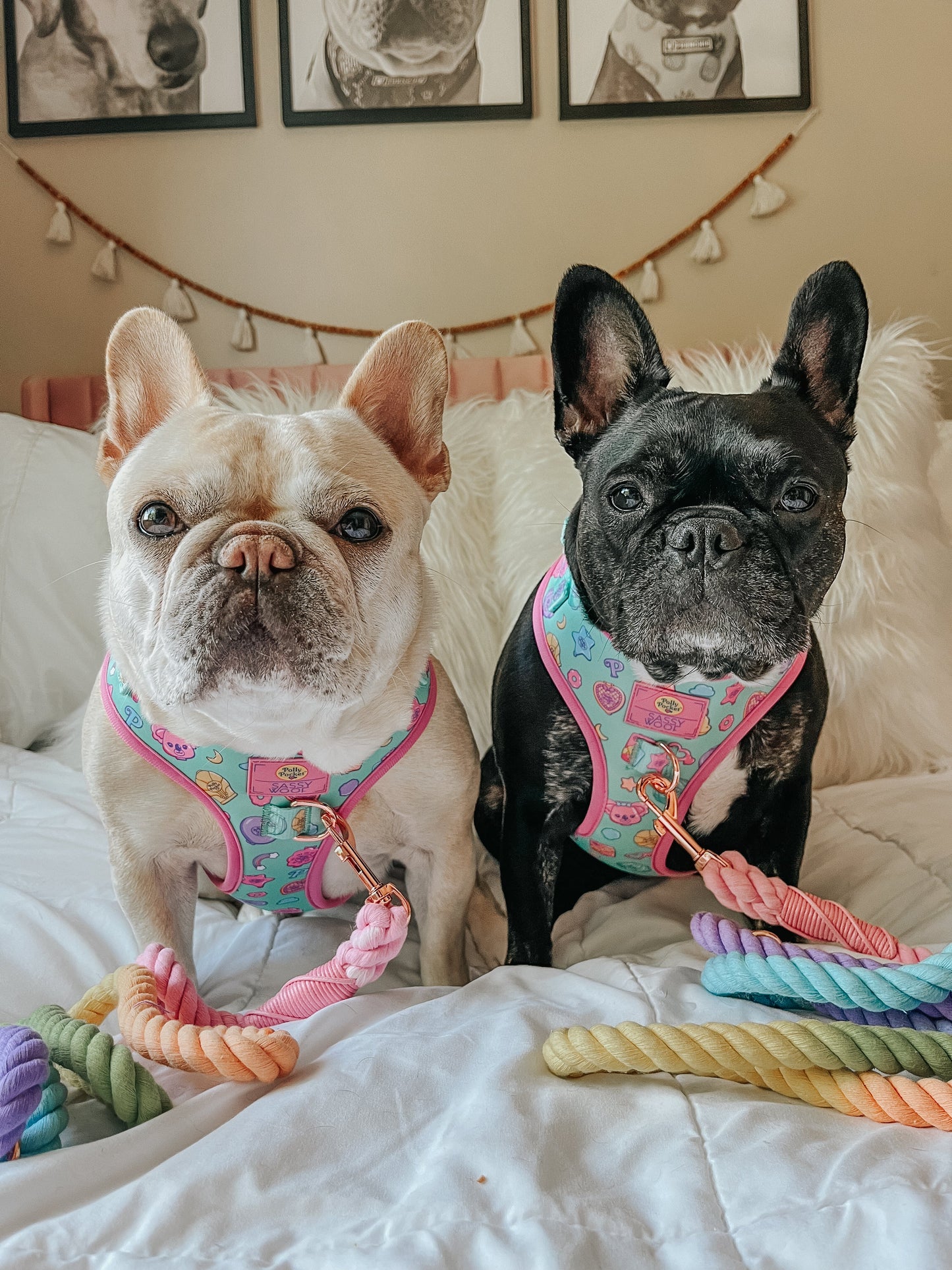 Dog Rope Leash - Polly Pocket™