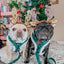 Dog Adjustable Harness - Nice