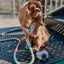 Dog Adjustable Harness - Sakura