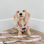 Dog Adjustable Harness - Sakura