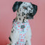 Dog Adjustable Harness - Sakura