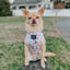 Dog Adjustable Harness - Sakura