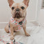 Dog Adjustable Harness - Sakura