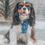 Dog Adjustable Harness - Santorini