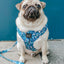Dog Adjustable Harness - Santorini