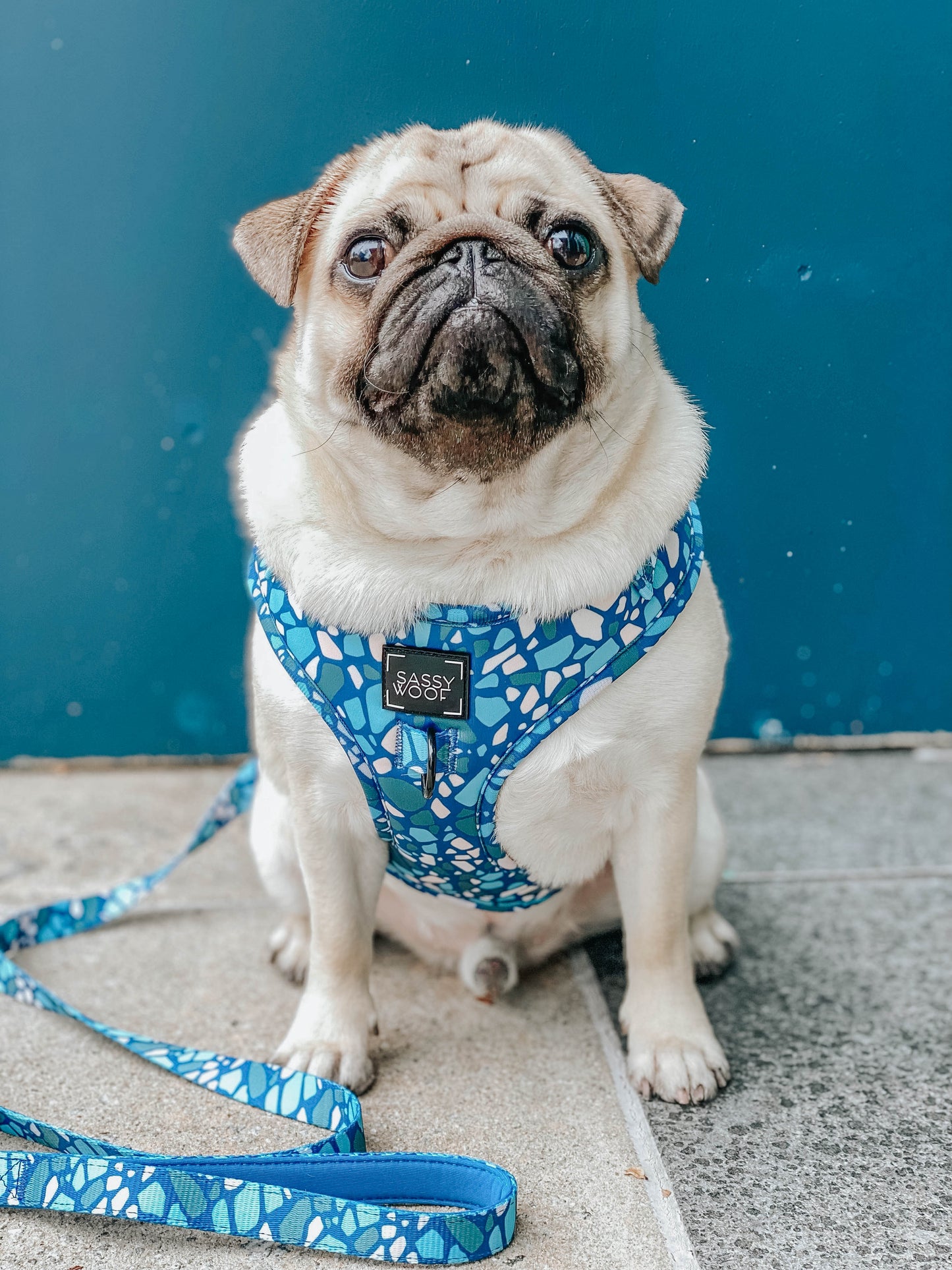 Dog Adjustable Harness - Santorini