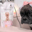 Cleopatra's Doggy Milk Bath