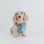 Dog Adjustable Harness - Santorini