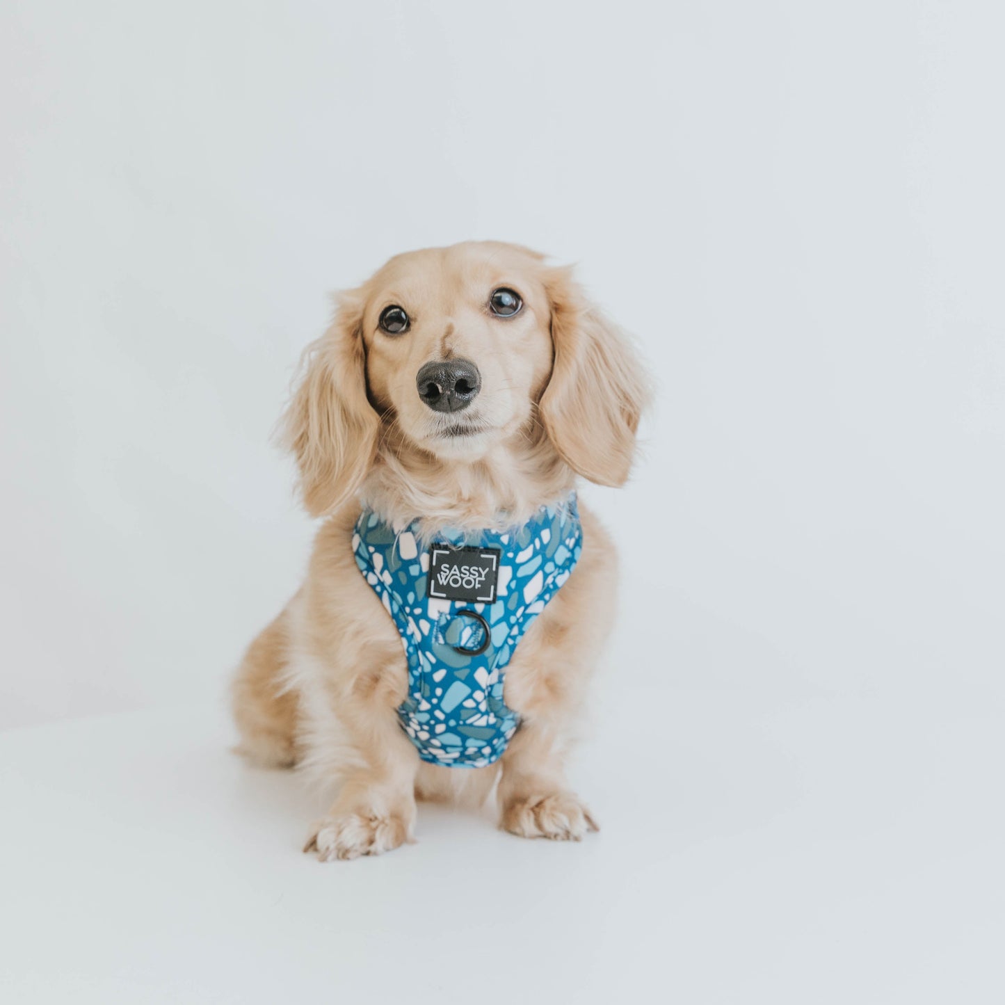 Dog Adjustable Harness - Santorini