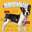 Functional Treats Bundle — All 6 Ostrich Superfood Treats, 40% Off