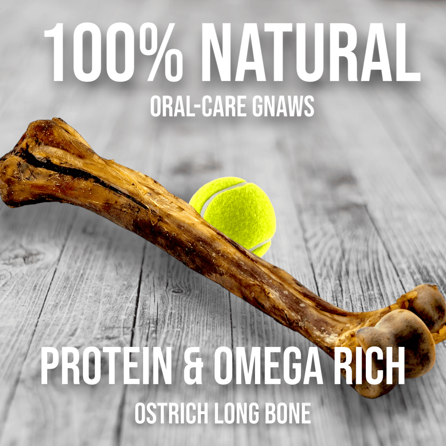 Power Chewer Large Box — 12 Ostrich Treats for Serious Chewers