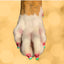 Pawdicure Polish Pens - Choose From 13 Colors! - Dog Nail Polish