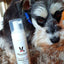 Cucumber Melon Foaming Facial For Dogs