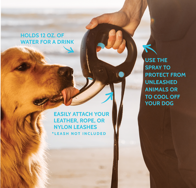 Spleash®