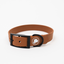 The Modern Dog Company - Coco Brown Collar (Weather + Odor Resistant)