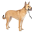 Petsafe Gentle Leader® Headcollar, No-Pull Dog Collar Black Medium