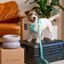 PADDED  ACTIVE  PET LEASH  - MINT GREEN