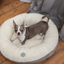 Chester & Lee | Furry Beige Donut Dog Bed