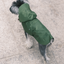 Capsule Raincoat - Green