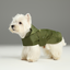 Capsule Raincoat - Green
