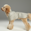 Capsule Raincoat - Beige