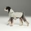 Capsule Raincoat - Beige