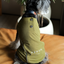 CHILL VEST SHIRT - GREEN