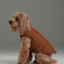 Reversible Dog Vest Jacket - Purple Caramel