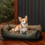 Chester & Lee | Waterproof Sleeper Dog Bed Green
