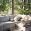 Chester & Lee | Furry Sleeper Dog Bed Beige