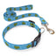 Sea Turtles Dog Collar