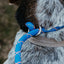Rope Slip Leash - Large