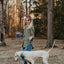 Rope Slip Leash - Large