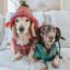 Dog Reversible Sherpa Jacket - Barks of Holly