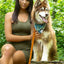 Sierra Sunrise Vegan Leather Dog Collar