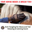 Silk Stride Detangle Equine Spritzer, Frosted Lavender