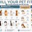 Rolling Rover Airline Compliant Expandable Wheeled Pet Carrier
