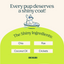 Skin & Coat Health