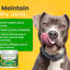Advanced Hip & Joint Supplement Powder/Meal Topper