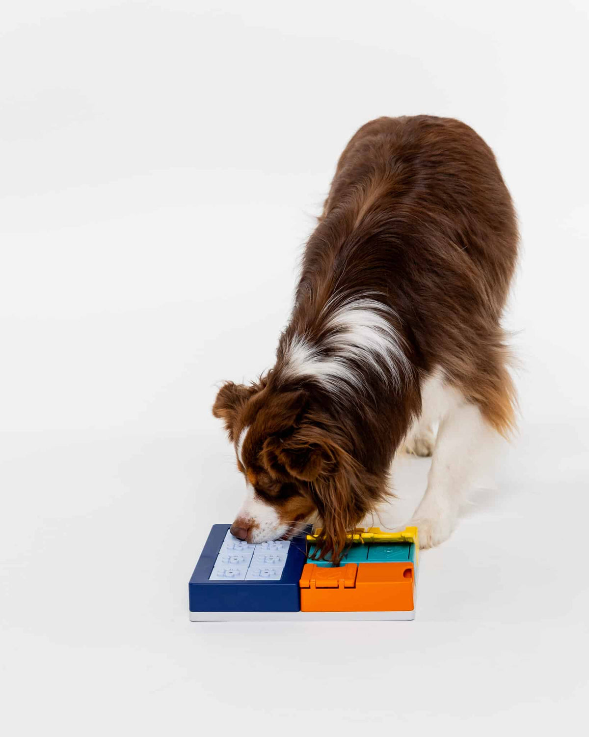 Pawzler Set - Smarty