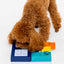 Pawzler Set - Smarty