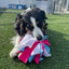 Chelsy’s Toys Snuffle Ball – Interactive Dog Enrichment, Treat & Training Toy