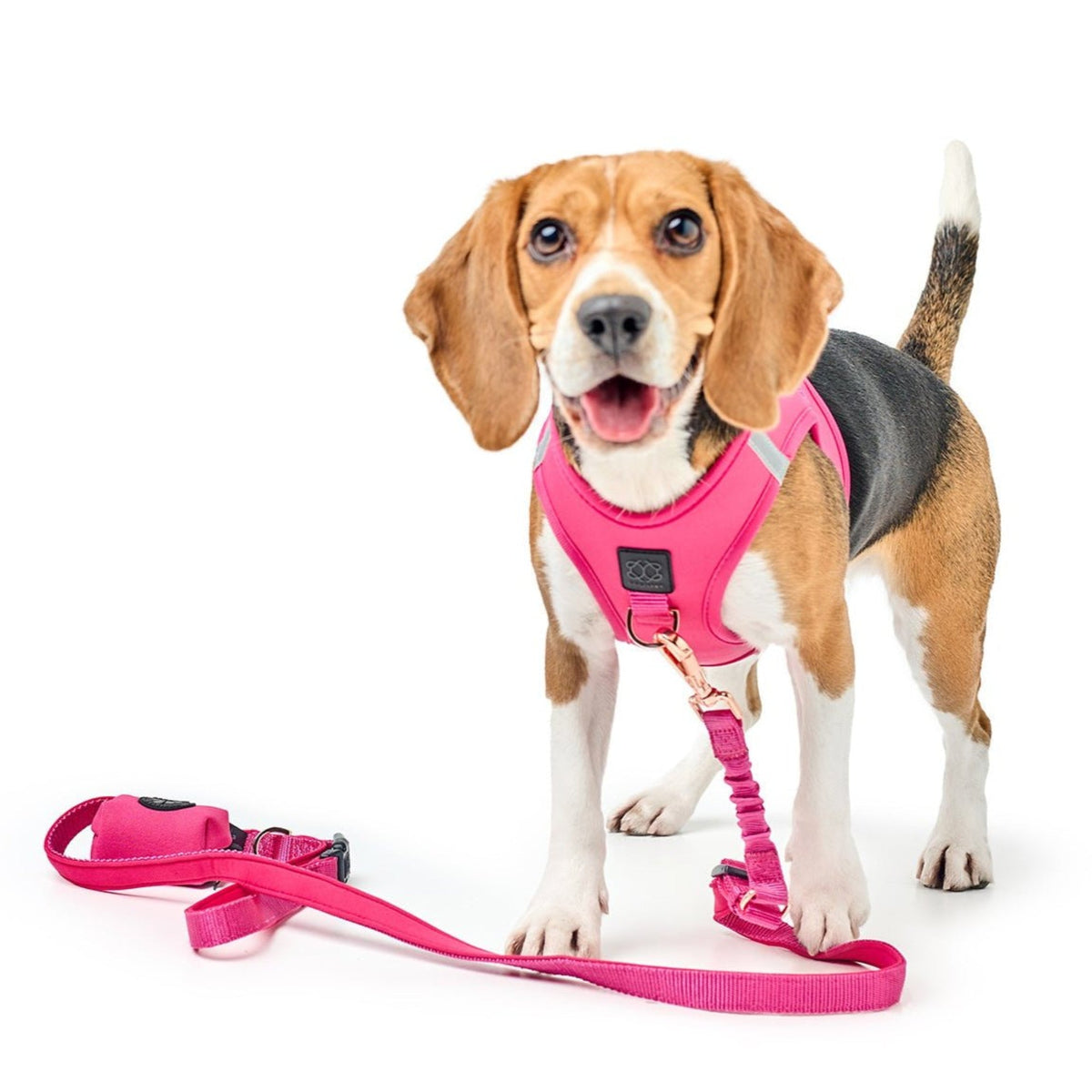 SoHo Dog Harness - Park Ave Pink