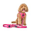 SoHo Dog Harness - Park Ave Pink