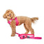 SoHo Dog Harness - Park Ave Pink