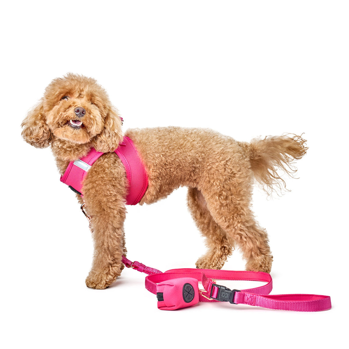 SoHo Dog Harness - Park Ave Pink