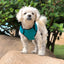 SpikeHarness