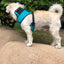SpikeHarness
