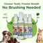 Oral Care Spray